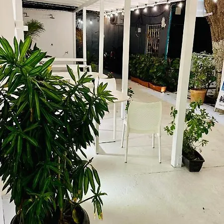 Di House Apart - Habitaciones Privadas En San Andres Islas Exterior photo
